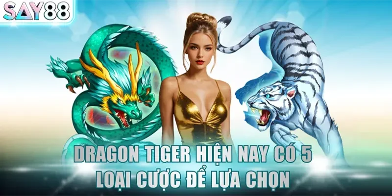 Dragon Tiger hiện nay có 5 loại cược để lựa chọn